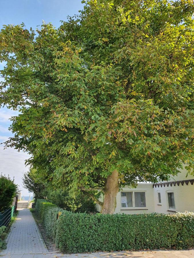 Hagelstein I "Donnerkeil" Appartement Dahme  Buitenkant foto